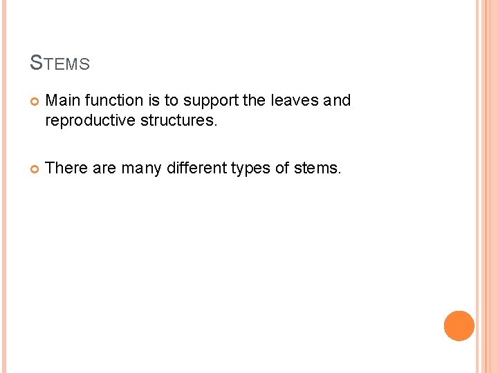 STEMS Main function is to support the leaves and reproductive structures. There are many