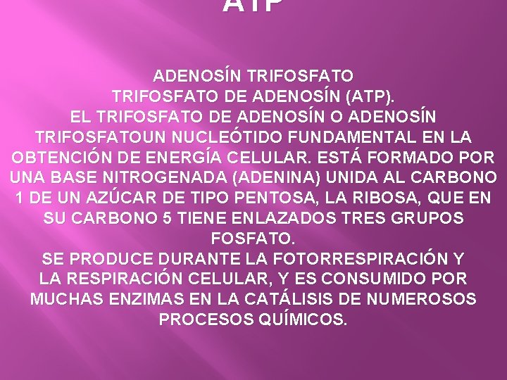 ATP ADENOSÍN TRIFOSFATO DE ADENOSÍN (ATP). EL TRIFOSFATO DE ADENOSÍN O ADENOSÍN TRIFOSFATOUN NUCLEÓTIDO