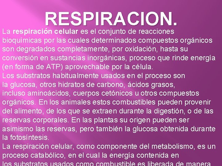 RESPIRACION. La respiración celular es el conjunto de reacciones bioquímicas por las cuales determinados