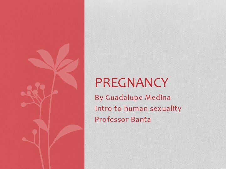 PREGNANCY By Guadalupe Medina Intro to human sexuality Professor Banta 