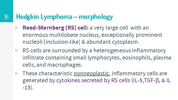 18 Hodgkin Lymphoma – morphology ▹ Reed-Sternberg (RS) cell: a very large cell with