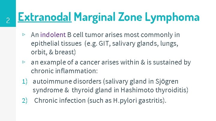 2 Extranodal Marginal Zone Lymphoma ▹ An indolent B cell tumor arises most commonly