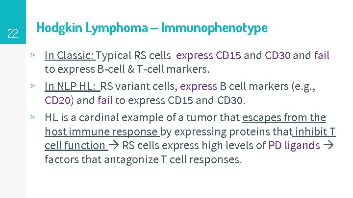 22 Hodgkin Lymphoma – Immunophenotype ▹ In Classic: Typical RS cells express CD 15