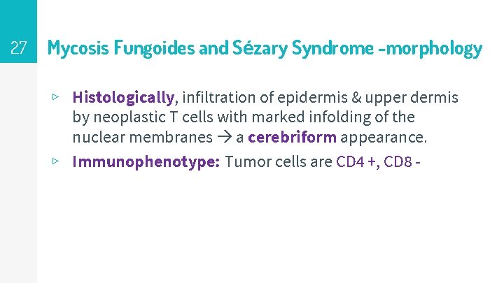 27 Mycosis Fungoides and Sézary Syndrome -morphology ▹ Histologically, infiltration of epidermis & upper