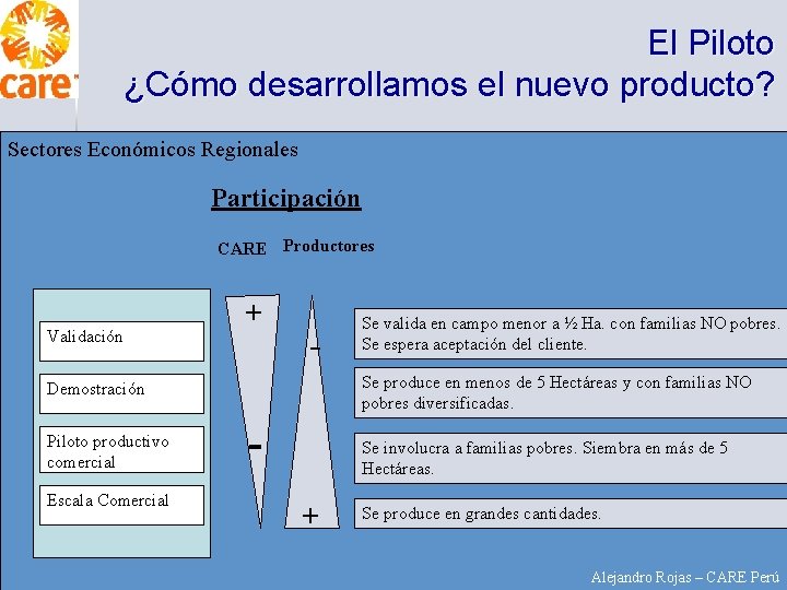 El Piloto ¿Cómo desarrollamos el nuevo producto? Sectores Económicos Regionales Participación CARE Productores Validación