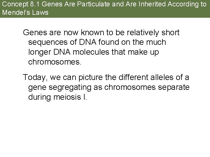 Concept 8. 1 Genes Are Particulate and Are Inherited According to Mendel’s Laws Genes