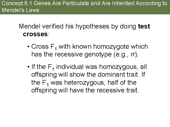 Concept 8. 1 Genes Are Particulate and Are Inherited According to Mendel’s Laws Mendel