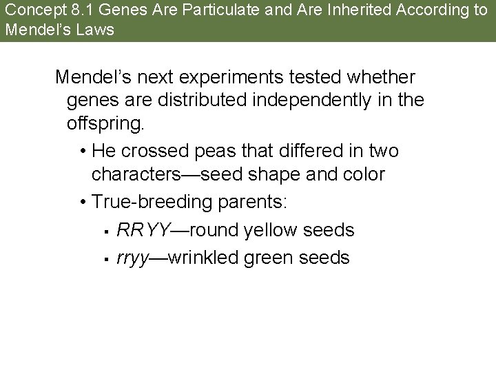 Concept 8. 1 Genes Are Particulate and Are Inherited According to Mendel’s Laws Mendel’s