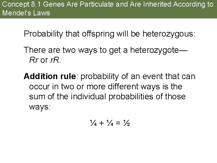 Concept 8. 1 Genes Are Particulate and Are Inherited According to Mendel’s Laws Probability