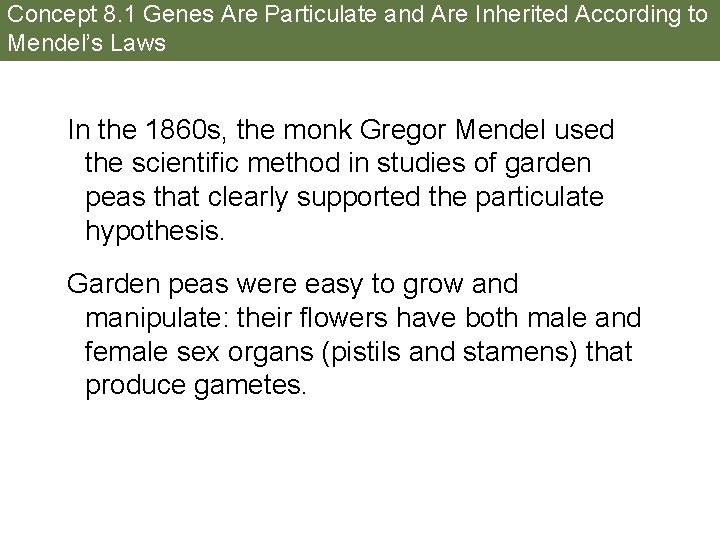 Concept 8. 1 Genes Are Particulate and Are Inherited According to Mendel’s Laws In