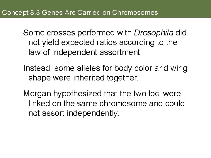 Concept 8. 3 Genes Are Carried on Chromosomes Some crosses performed with Drosophila did