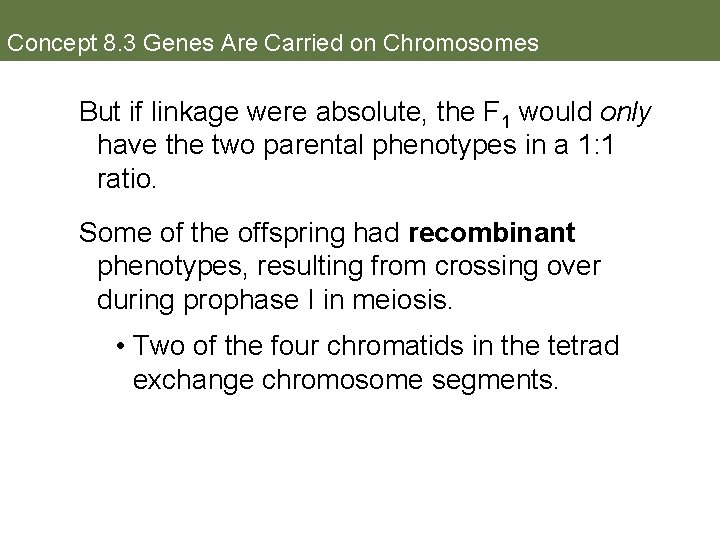 Concept 8. 3 Genes Are Carried on Chromosomes But if linkage were absolute, the