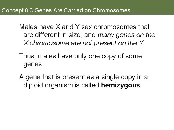 Concept 8. 3 Genes Are Carried on Chromosomes Males have X and Y sex