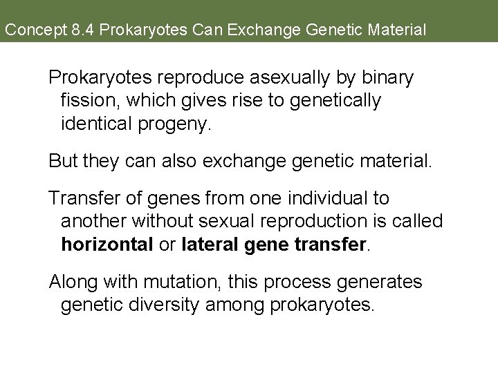 Concept 8. 4 Prokaryotes Can Exchange Genetic Material Prokaryotes reproduce asexually by binary fission,