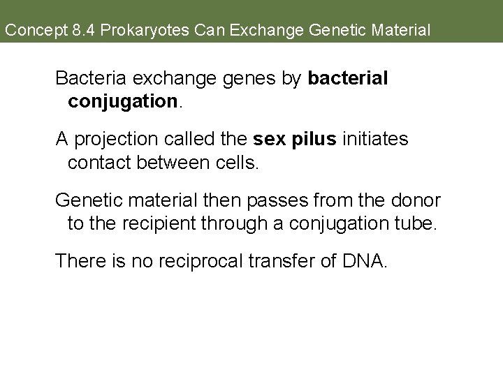 Concept 8. 4 Prokaryotes Can Exchange Genetic Material Bacteria exchange genes by bacterial conjugation.