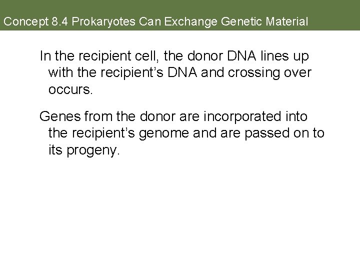Concept 8. 4 Prokaryotes Can Exchange Genetic Material In the recipient cell, the donor