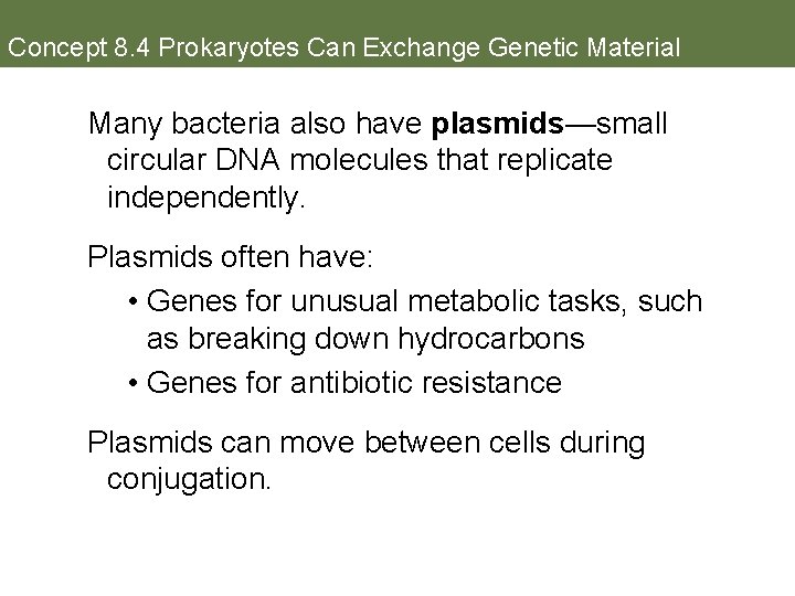Concept 8. 4 Prokaryotes Can Exchange Genetic Material Many bacteria also have plasmids—small circular