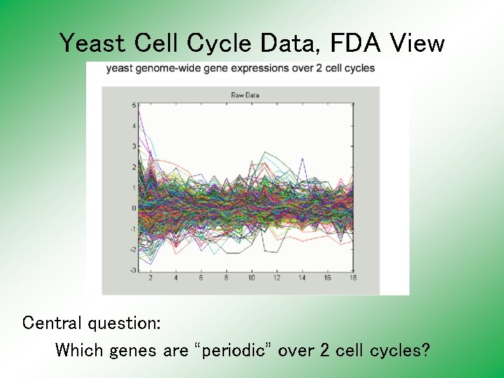 Yeast Cell Cycle Data, FDA View Central question: Which genes are “periodic” over 2