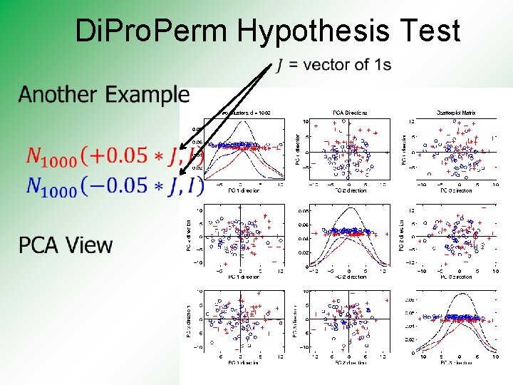 Di. Pro. Perm Hypothesis Test 