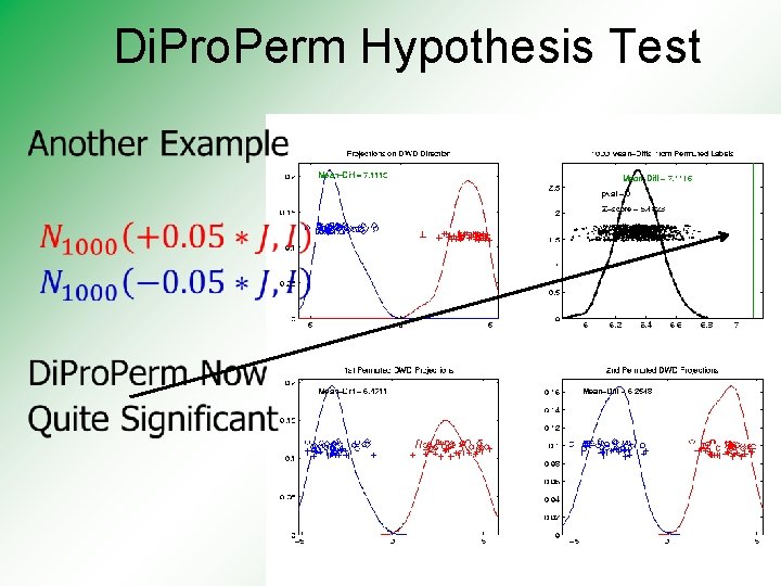 Di. Pro. Perm Hypothesis Test 