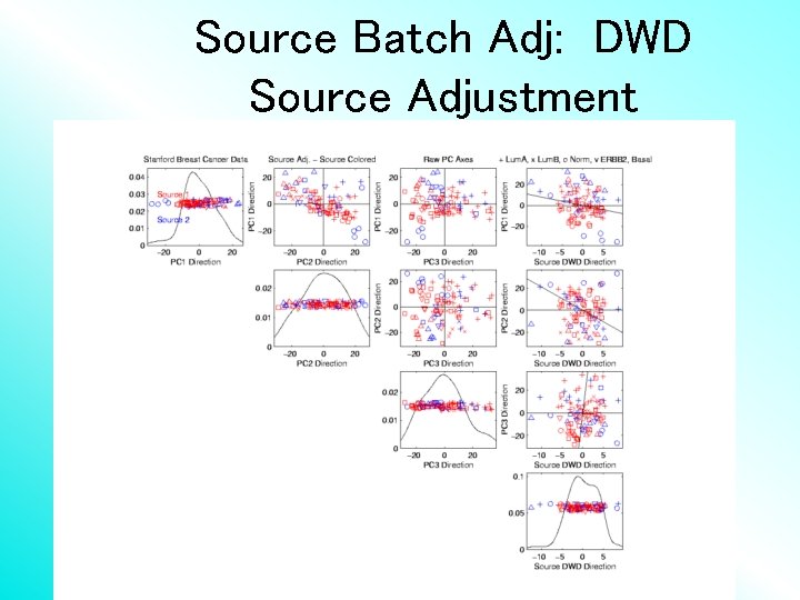 Source Batch Adj: DWD Source Adjustment 