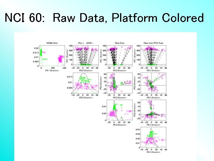 NCI 60: Raw Data, Platform Colored 