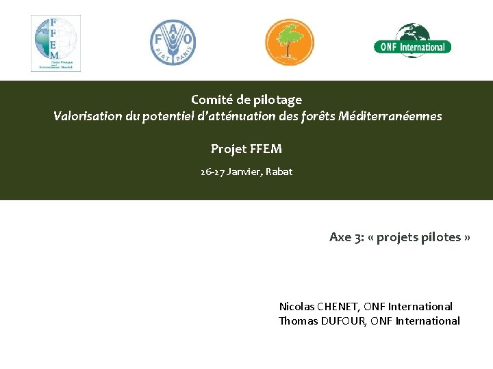 Comité de pilotage Valorisation du potentiel d’atténuation des forêts Méditerranéennes Projet FFEM 26 -27