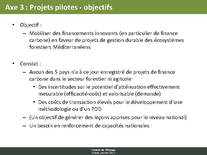 Axe 3 : Projets pilotes - objectifs • Objectif : – Mobiliser des financements