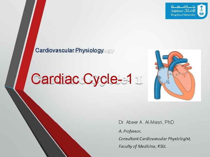 Cardiovascular Physiology Cardiac Cycle- 1 Dr. Abeer A. Al-Masri, Ph. D A. Professor, Consultant