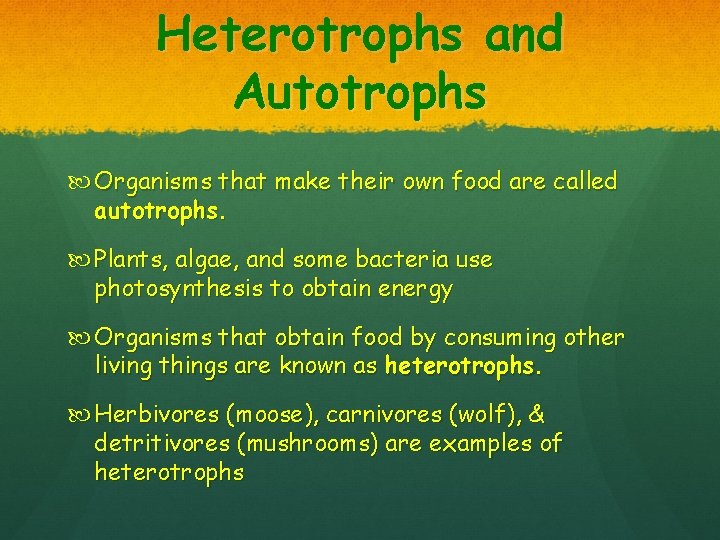 Heterotrophs and Autotrophs Organisms that make their own food are called autotrophs. Plants, algae,