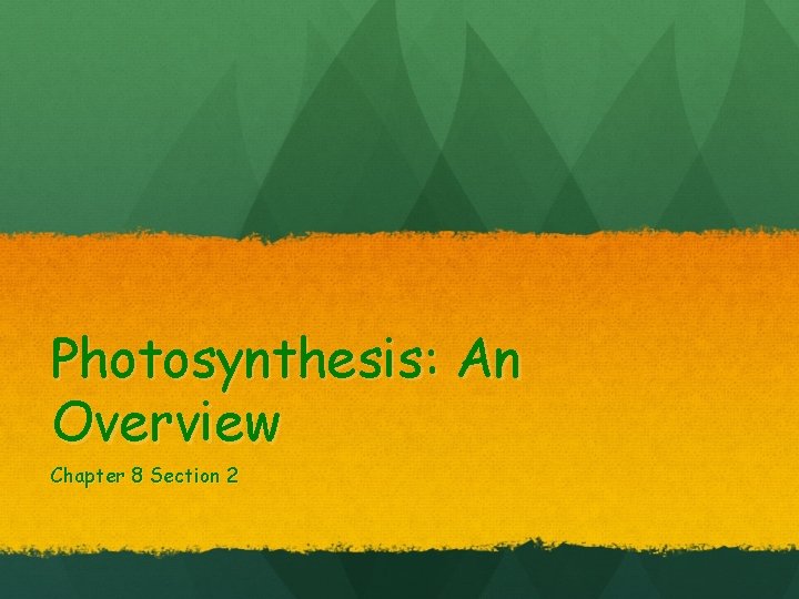 Photosynthesis: An Overview Chapter 8 Section 2 
