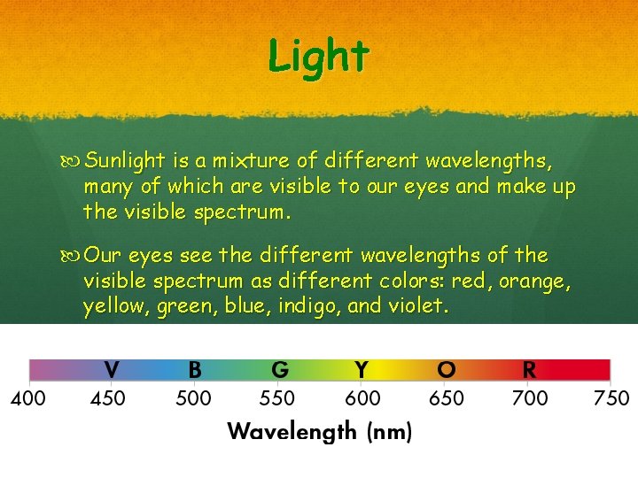 Light Sunlight is a mixture of different wavelengths, many of which are visible to