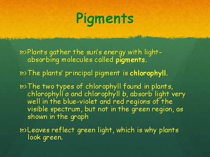 Pigments Plants gather the sun’s energy with lightabsorbing molecules called pigments. The plants’ principal