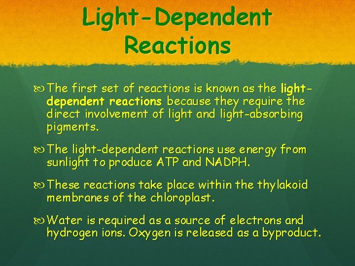 Light-Dependent Reactions The first set of reactions is known as the lightdependent reactions because