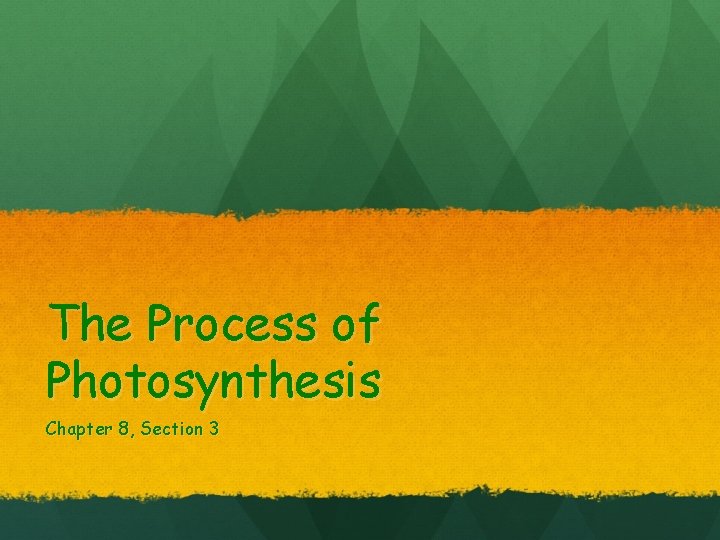 The Process of Photosynthesis Chapter 8, Section 3 