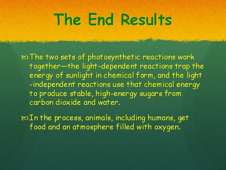 The End Results The two sets of photosynthetic reactions work together—the light-dependent reactions trap