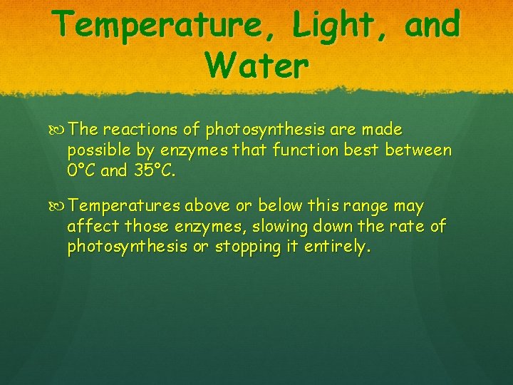Temperature, Light, and Water The reactions of photosynthesis are made possible by enzymes that