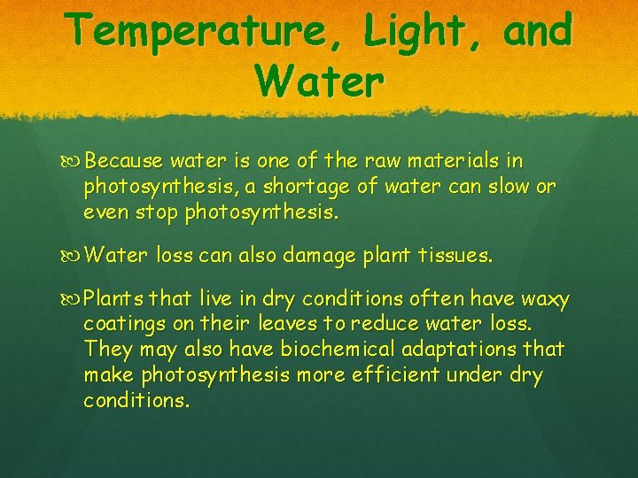 Temperature, Light, and Water Because water is one of the raw materials in photosynthesis,