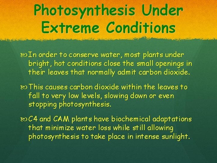 Photosynthesis Under Extreme Conditions In order to conserve water, most plants under bright, hot