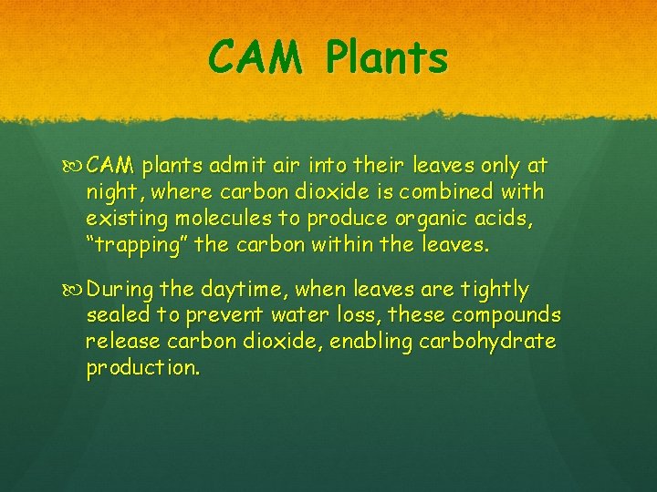 CAM Plants CAM plants admit air into their leaves only at night, where carbon