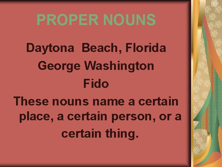 PROPER NOUNS Daytona Beach, Florida George Washington Fido These nouns name a certain place,