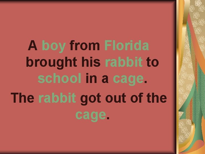 A boy from Florida brought his rabbit to school in a cage. The rabbit