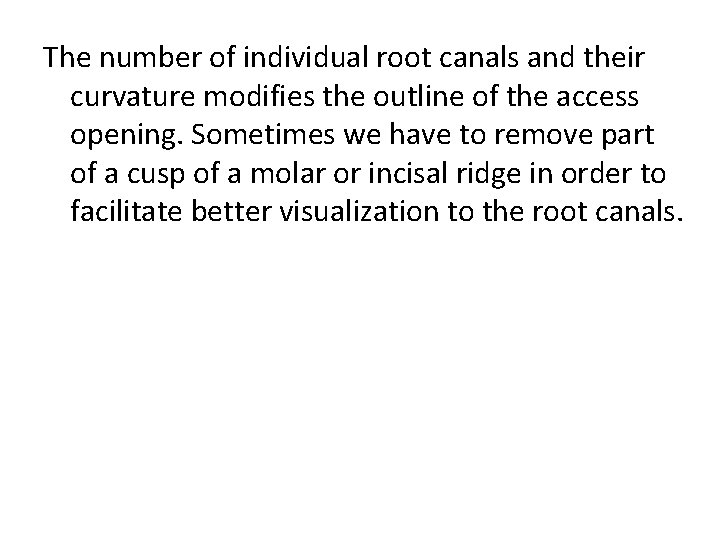 The number of individual root canals and their curvature modifies the outline of the