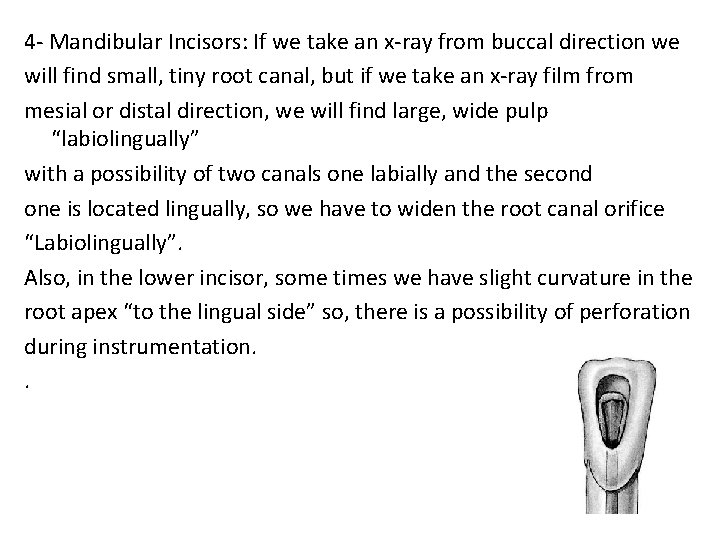 4 - Mandibular Incisors: If we take an x-ray from buccal direction we will