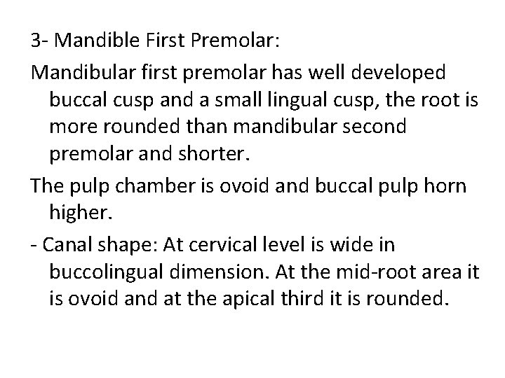 3 - Mandible First Premolar: Mandibular first premolar has well developed buccal cusp and
