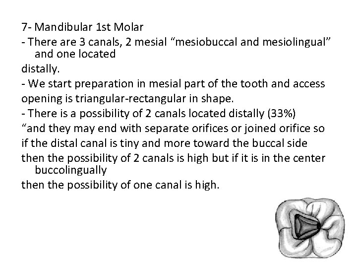 7 - Mandibular 1 st Molar - There are 3 canals, 2 mesial “mesiobuccal