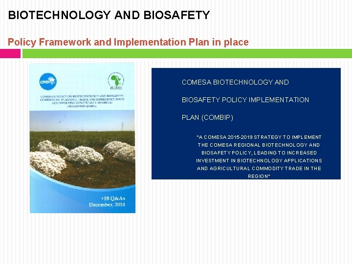 BIOTECHNOLOGY AND BIOSAFETY Policy Framework and Implementation Plan in place COMESA BIOTECHNOLOGY AND BIOSAFETY