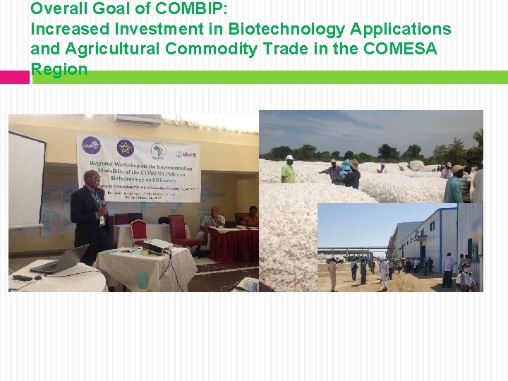 Overall Goal of COMBIP: Increased Investment in Biotechnology Applications and Agricultural Commodity Trade in