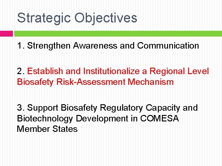 Strategic Objectives 1. Strengthen Awareness and Communication 2. Establish and Institutionalize a Regional Level
