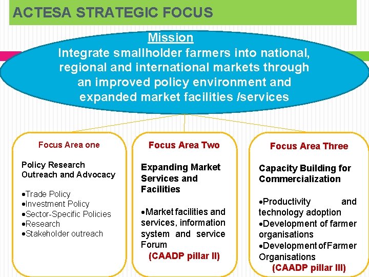 ACTESA STRATEGIC FOCUS Mission Integrate smallholder farmers into national, regional and international markets through